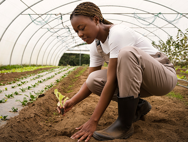 Agriculture Insurance